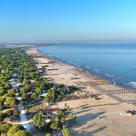 Emerald - 286 دراس