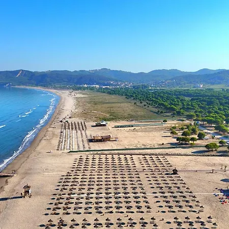 Emerald - 286 شقة *